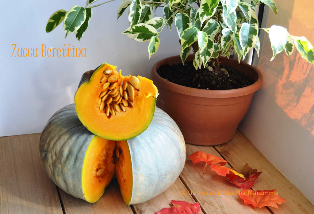 zucca berettina